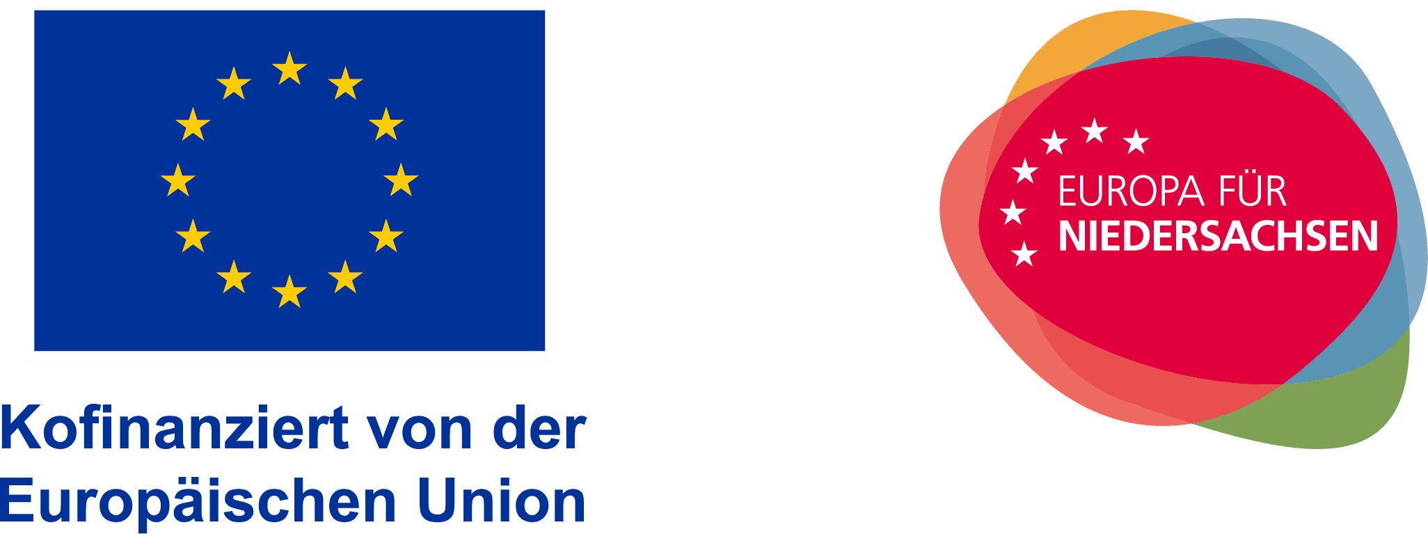 Logo EU EFN